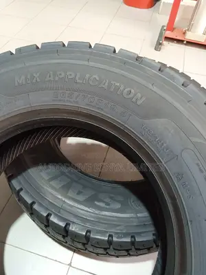 265/70r19.5 Sailun Tyre