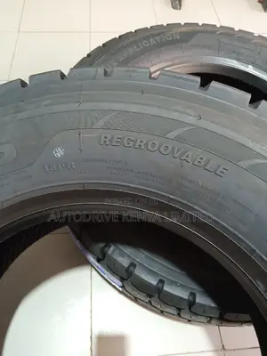 265/70r19.5 Sailun Tyre