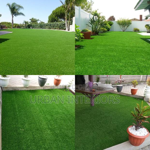 Grass Carpet Grass Carpet Grass Carpet Grass Carpet