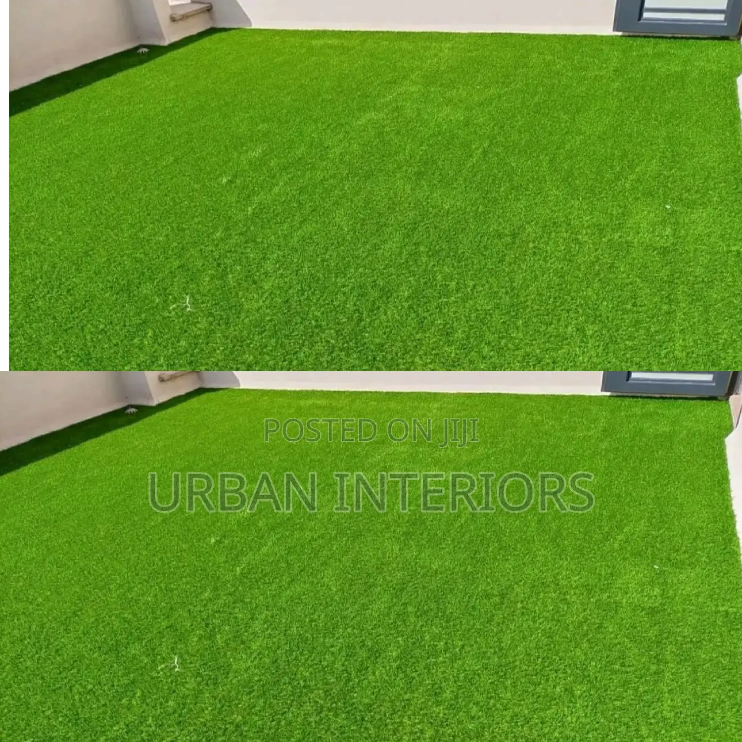 Grass Carpet Grass Carpet Grass Carpet Grass Carpet