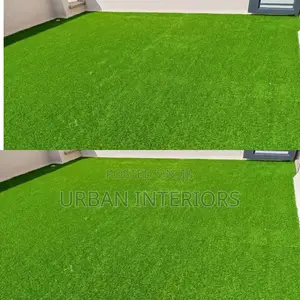 Grass Carpet Grass Carpet Grass Carpet Grass Carpet