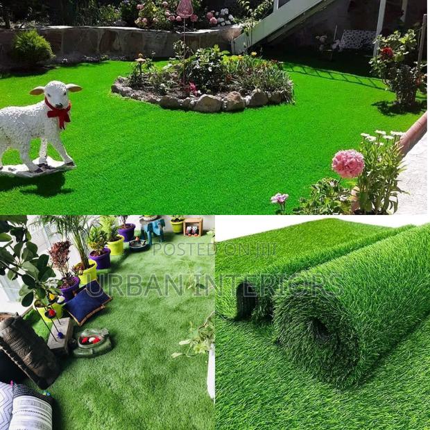 Grass Carpet Grass Carpet Grass Carpet Grass Carpet - main view