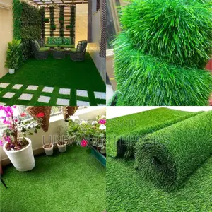 Grass Carpet Grass Carpet Grass Carpet Grass Carpet