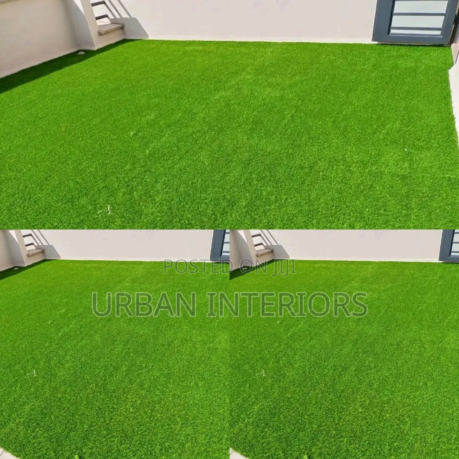 Grass Carpet Grass Carpet Grass Carpet Grass Carpet