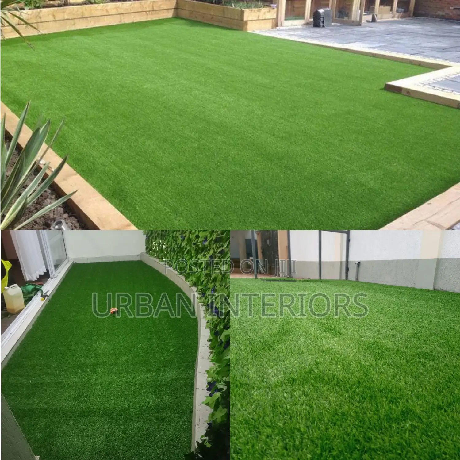Grass Carpet Grass Carpet Grass Carpet Grass Carpet