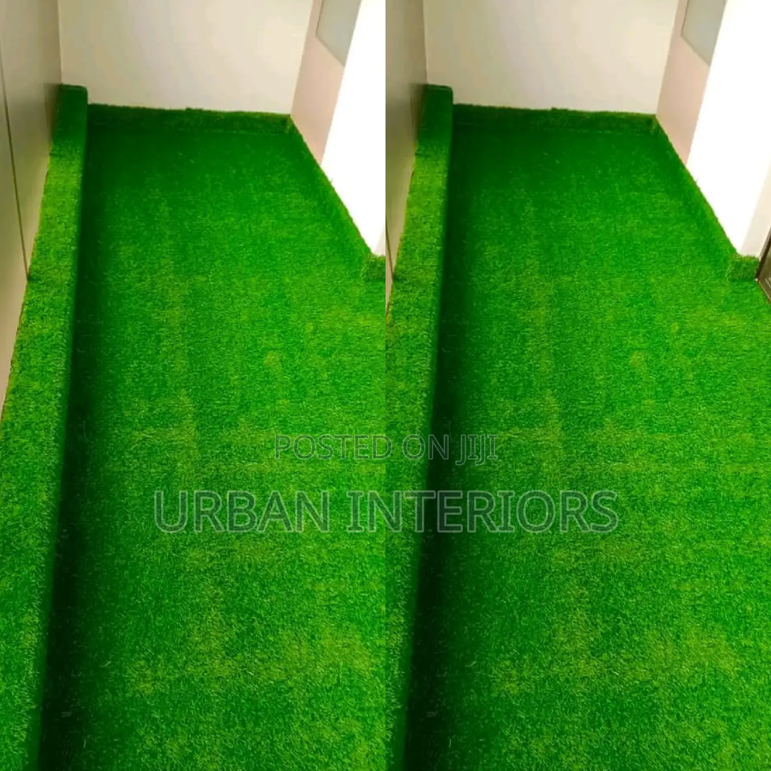 Grass Carpet Grass Carpet Grass Carpet Grass Carpet
