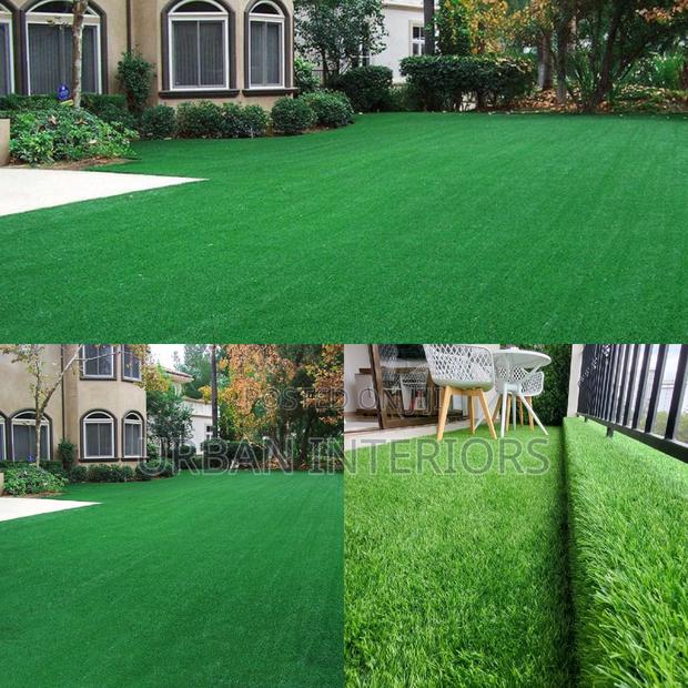 Grass Carpet Grass Carpet Grass Carpet Grass Carpet - main view