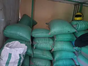 High Quality Barley Seeds for Hydroponic Fodder, Food - 80kg