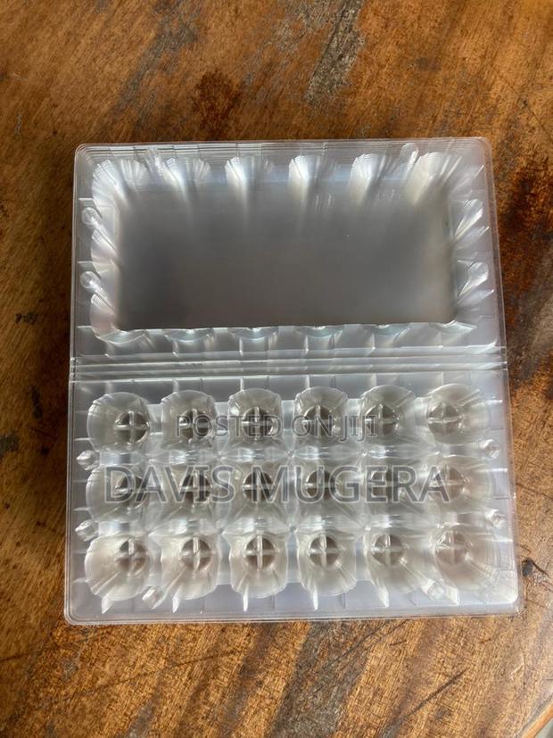18 Quail Eggs Trays Transparent Plastic Eggs Trays
