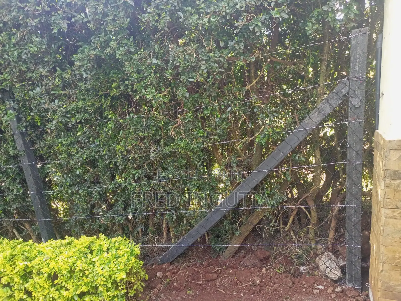 Chain-Link and Barbed Wire Plastic Poles Fencing
