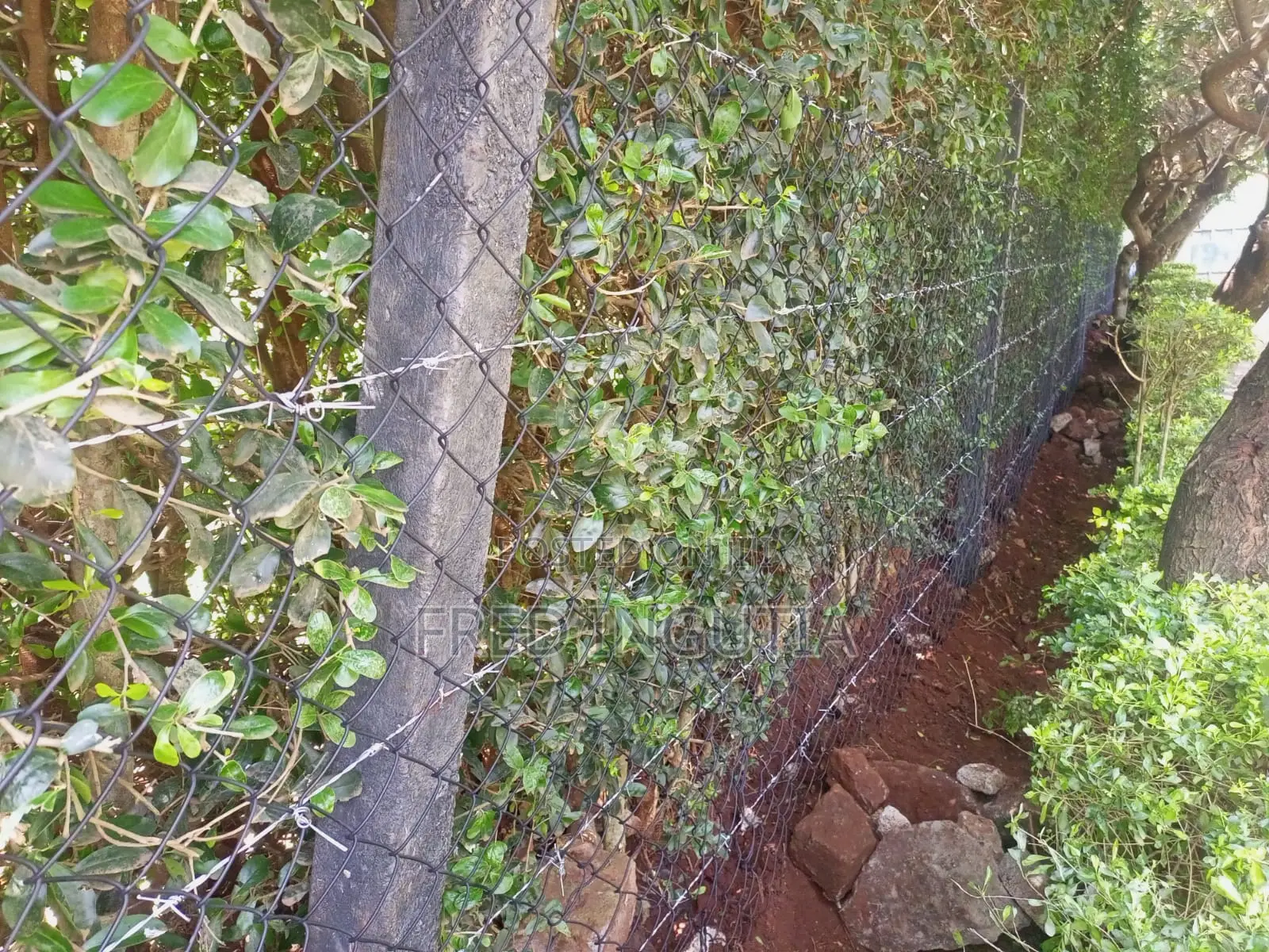 Chain-Link and Barbed Wire Plastic Poles Fencing