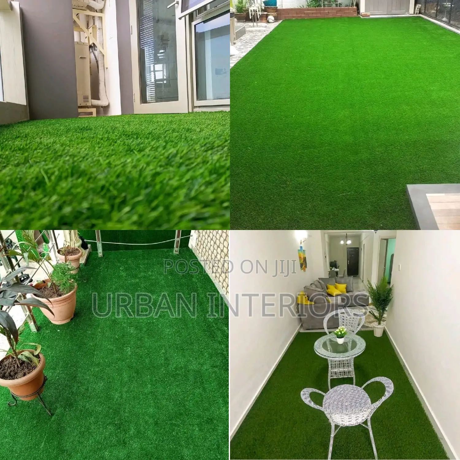 Grass Carpet Grass Carpet Grass Carpet Grass Carpet