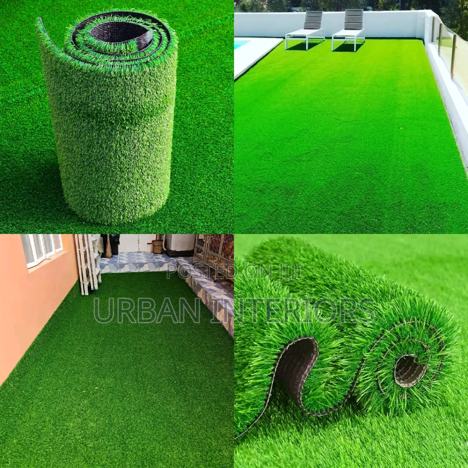 Grass Carpet Grass Carpet Grass Carpet Grass Carpet