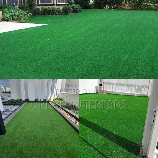 Grass Carpet Grass Carpet Grass Carpet Grass Carpet - main view