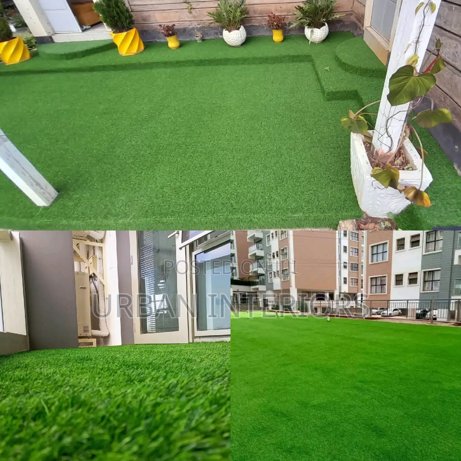 Grass Carpet Grass Carpet Grass Carpet Grass Carpet