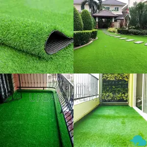 Grass Carpet Grass Carpet Grass Carpet Grass Carpet