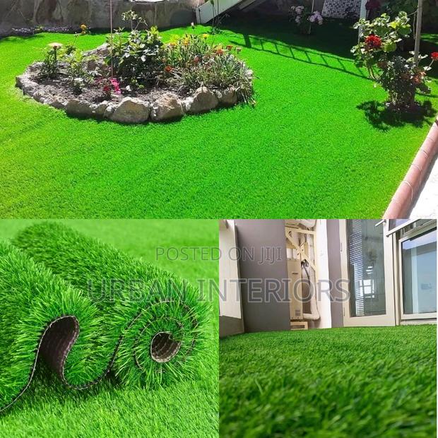 Grass Carpet Grass Carpet Grass Carpet Grass Carpet - main view