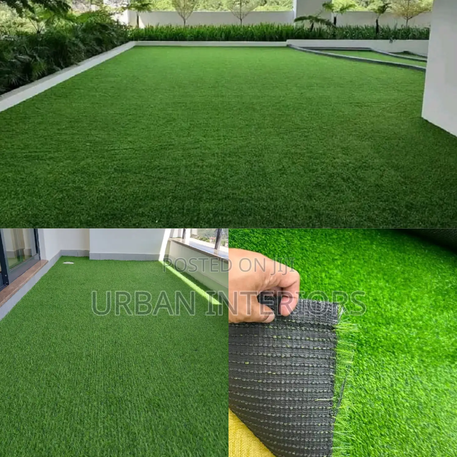 Grass Carpet Grass Carpet Grass Carpet Grass Carpet