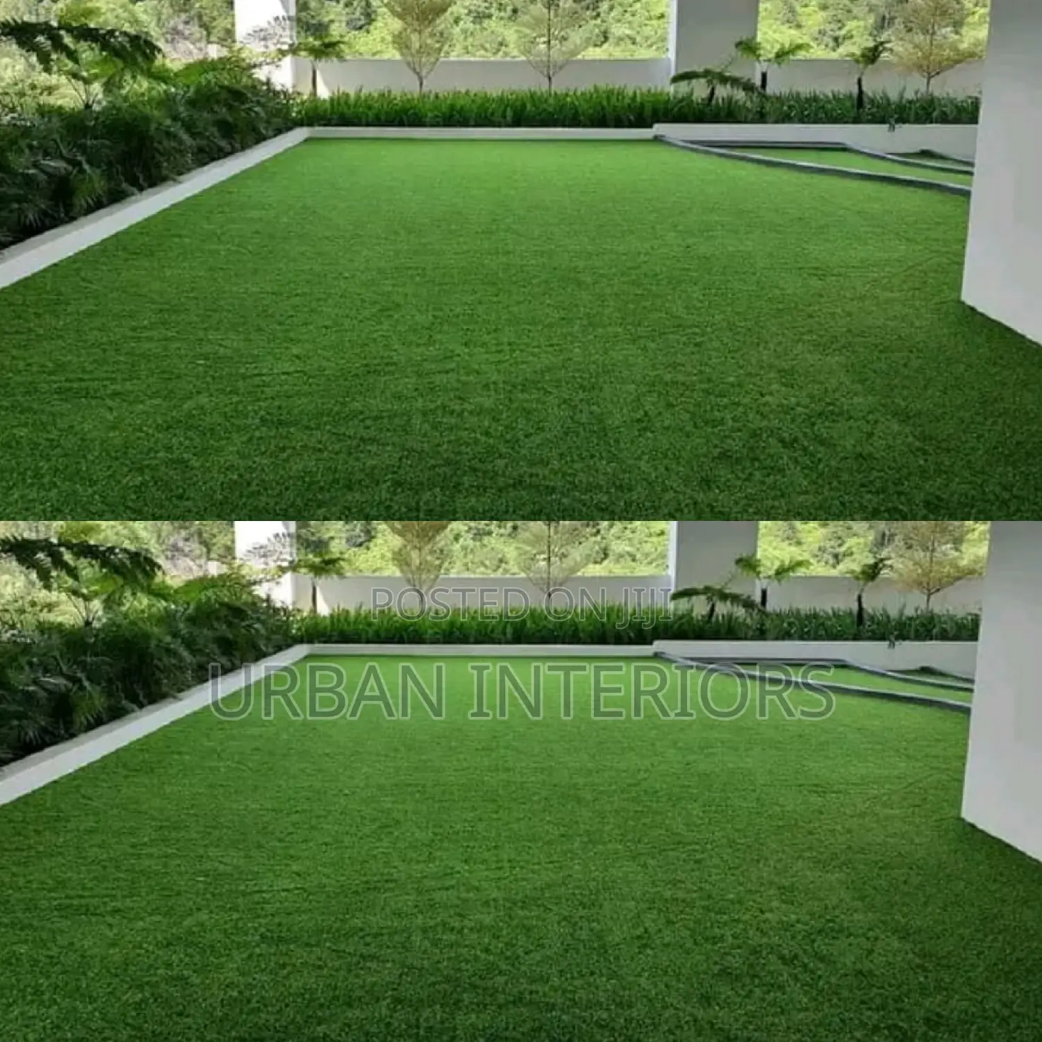 Grass Carpet Grass Carpet Grass Carpet Grass Carpet