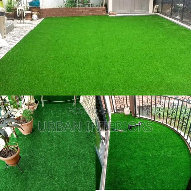 Grass Carpet Grass Carpet Grass Carpet Grass Carpet - main view