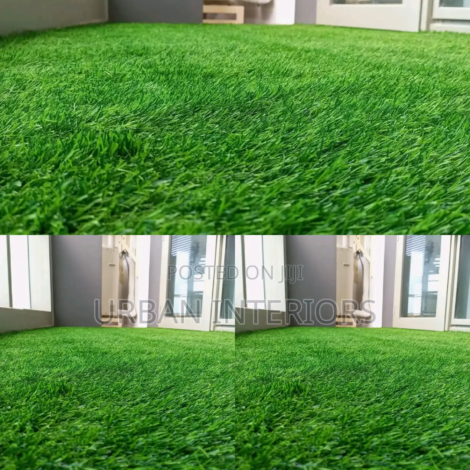 Grass Carpet Grass Carpet Grass Carpet Grass Carpet