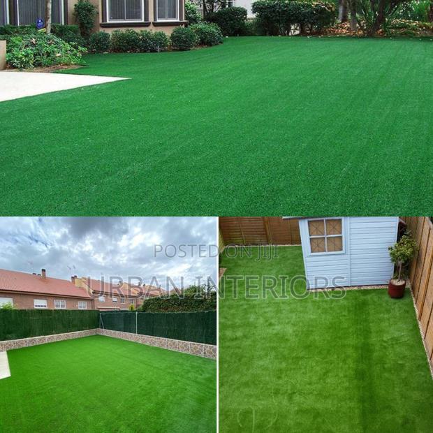 Grass Carpet Grass Carpet Grass Carpet Grass Carpet - main view