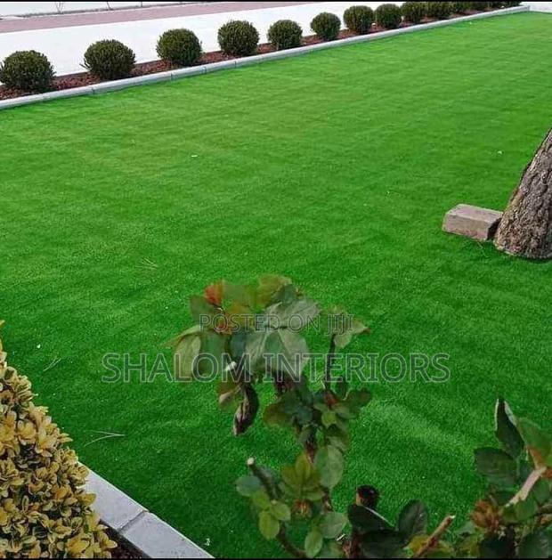 Turf Grass Turf Grass Turf Grass Turf Grass - main view