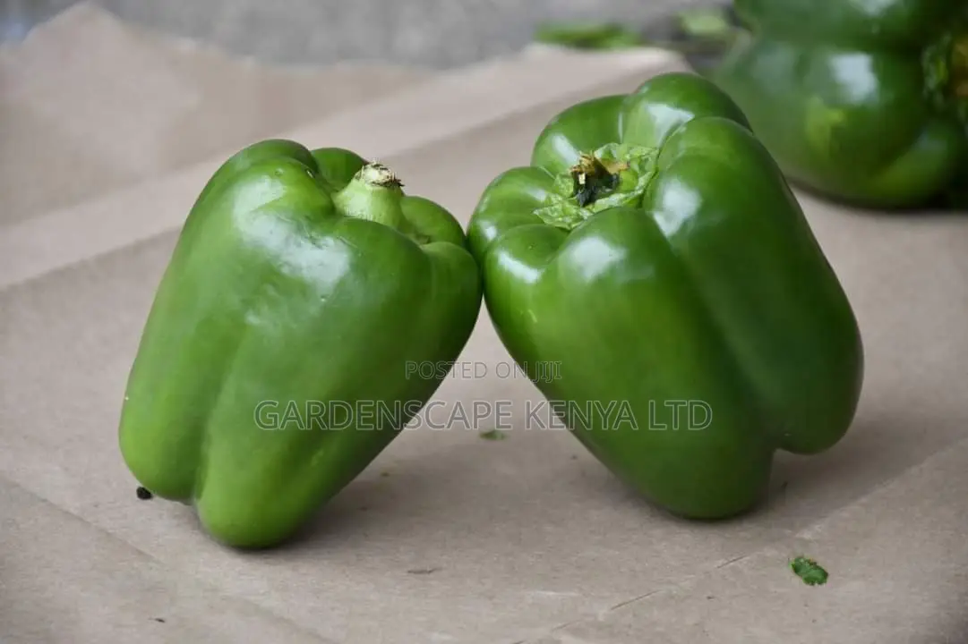 Super Wonder Capsicum 25g Seeds