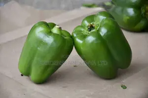 Super Wonder Capsicum 25g Seeds