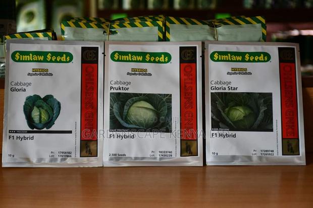 Cabbage Seeds From 25g - main view