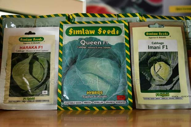 Cabbage Seeds From 25g - thumbnail 2