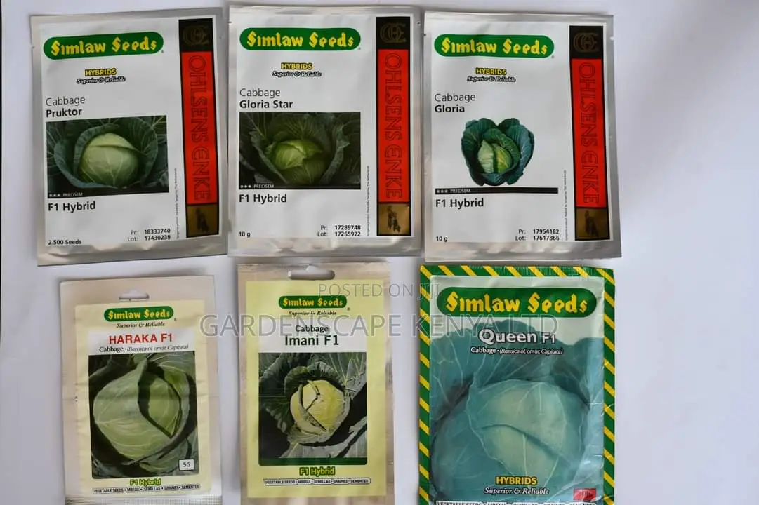 Cabbage Seeds From 25g