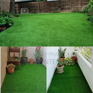 Grass Carpet Grass Carpet Grass Carpet Grass Carpet