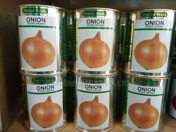 Onion Seeds Varieties From 25g - main view