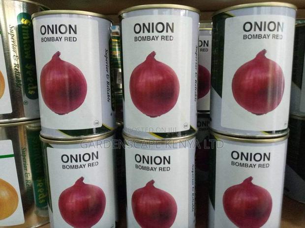 Onion Seeds Varieties From 25g - thumbnail 3