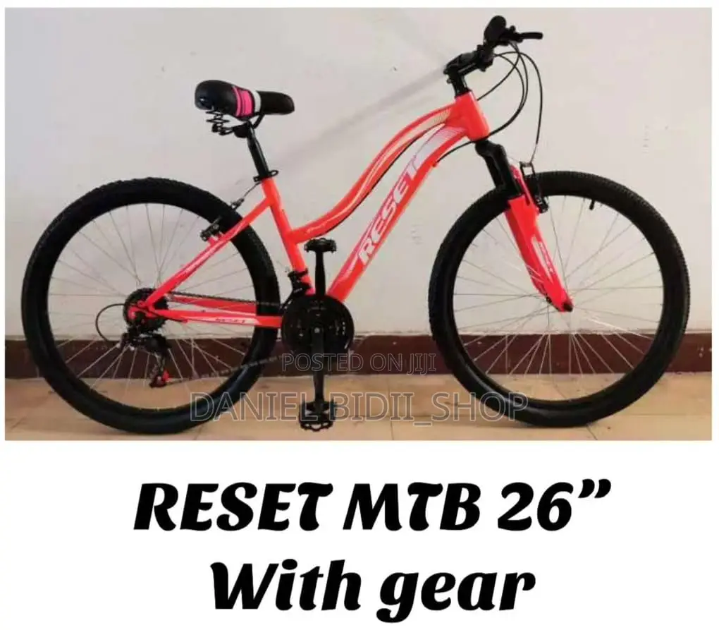 Reset Size 24 Ladies Bicycle