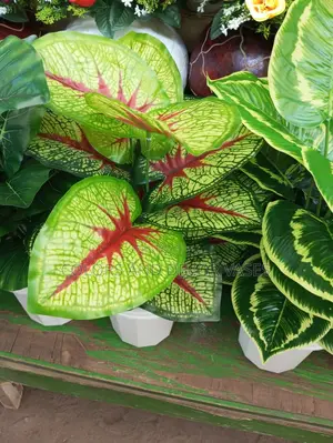 Plants Artificial Variety