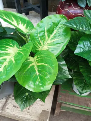 Plants Artificial