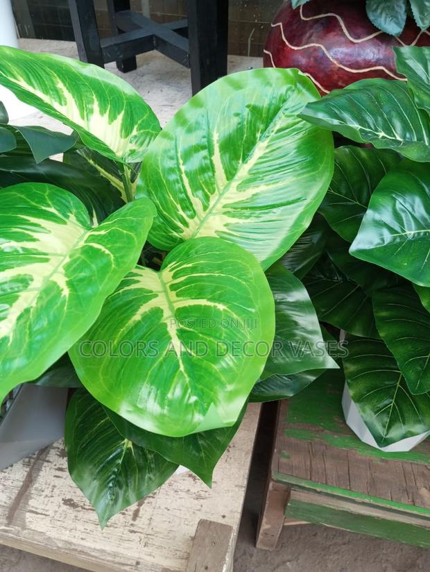 Plants Artificial