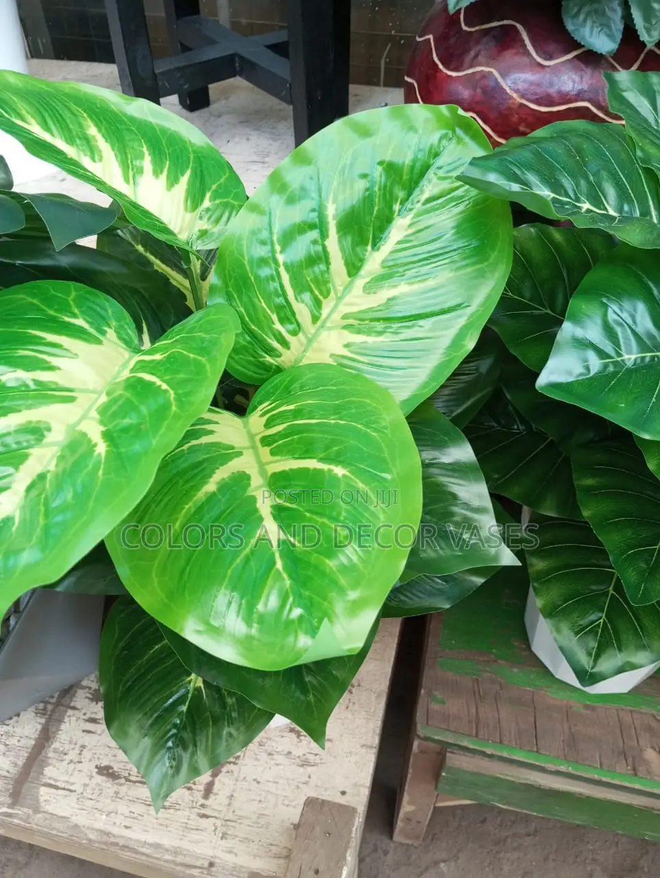 Plants Artificial