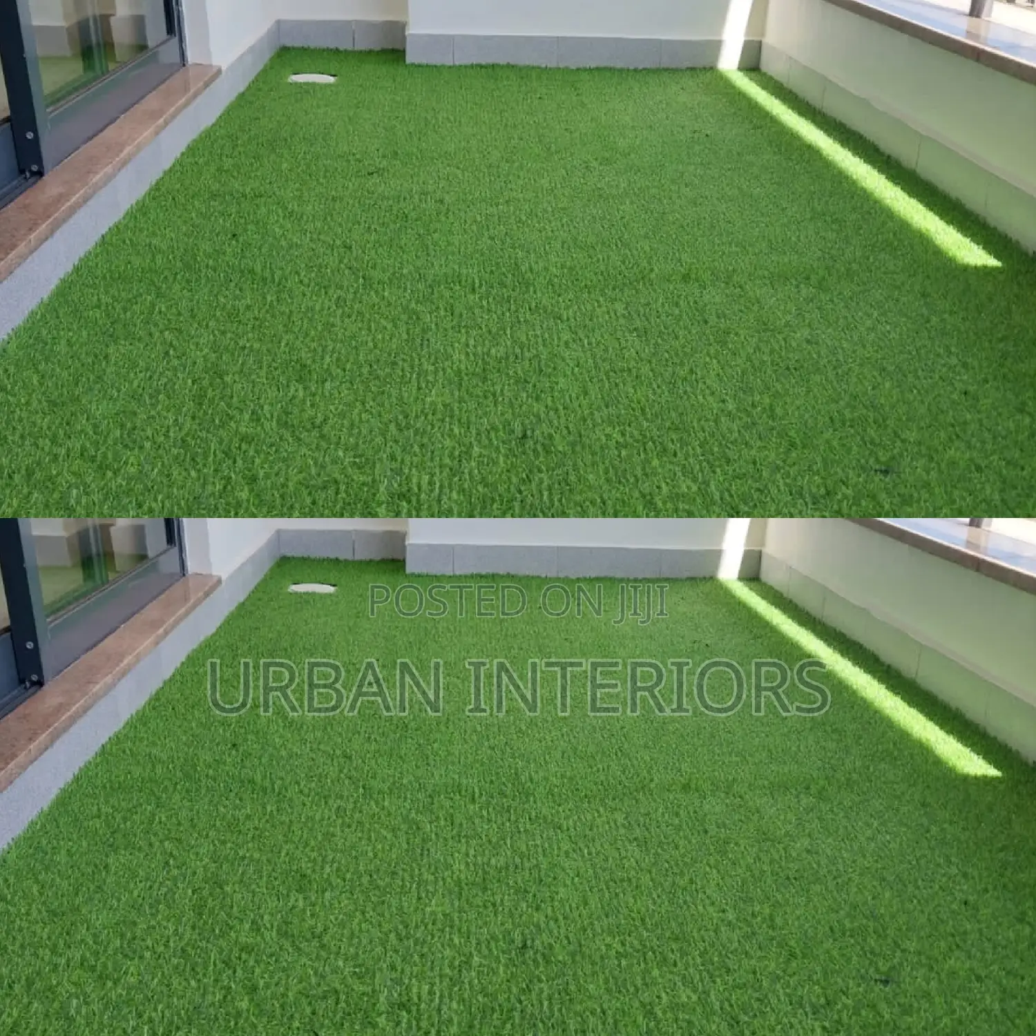 Grass Carpet Grass Carpet Grass Carpet Grass Carpet