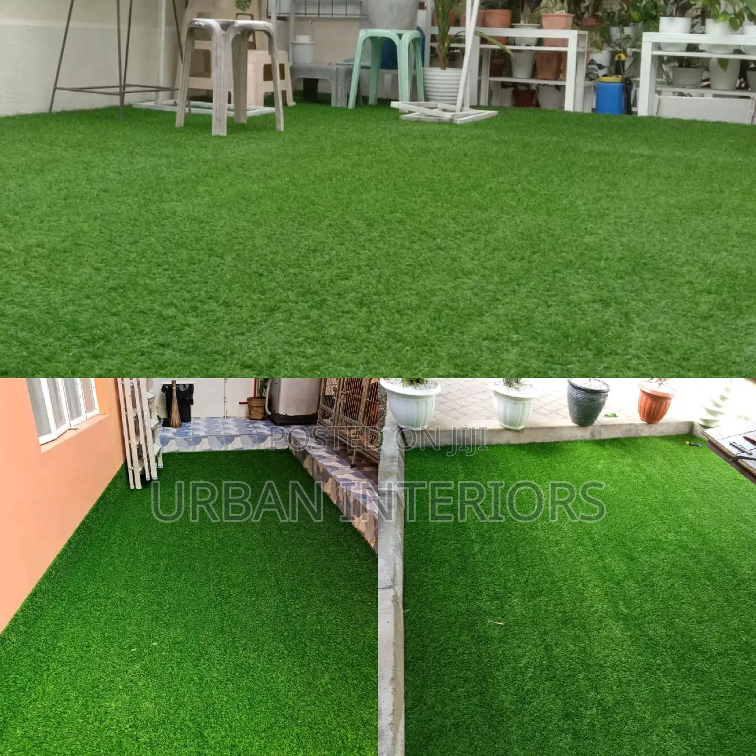 Grass Carpet Grass Carpet Grass Carpet Grass Carpet