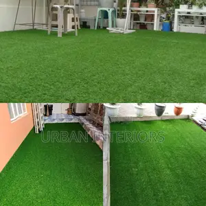 Grass Carpet Grass Carpet Grass Carpet Grass Carpet