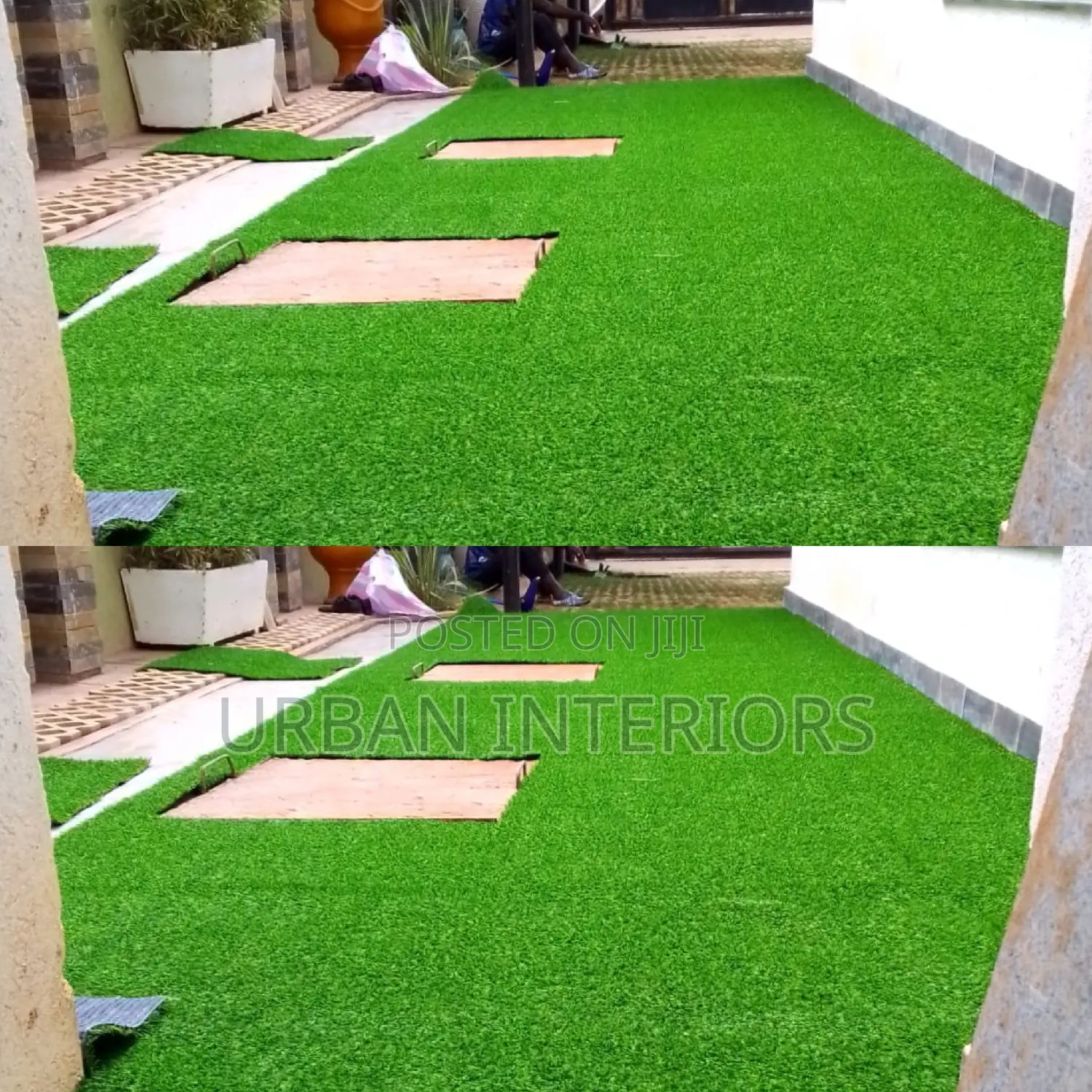 Grass Carpet Grass Carpet Grass Carpet Grass Carpet