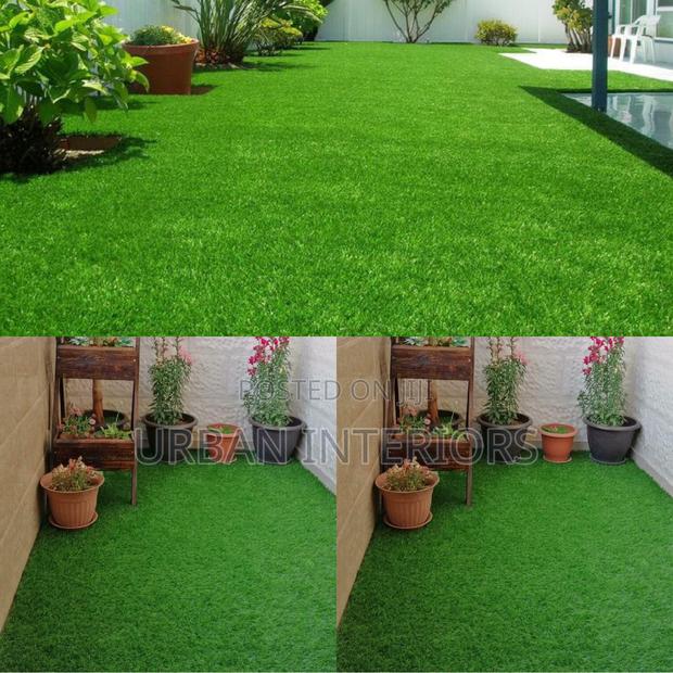 Grass Carpet Grass Carpet Grass Carpet Grass Carpet - main view