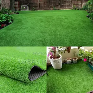 Grass Carpet Grass Carpet Grass Carpet Grass Carpet