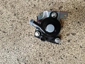 Auxiliary Hybrid Water Pump