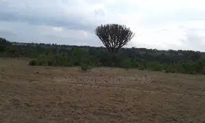 1.5 Acres for Sale in Laikipia(Ngobit Supuko BLK 3)