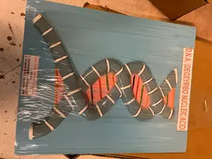 Model DNA on Board 9x14”