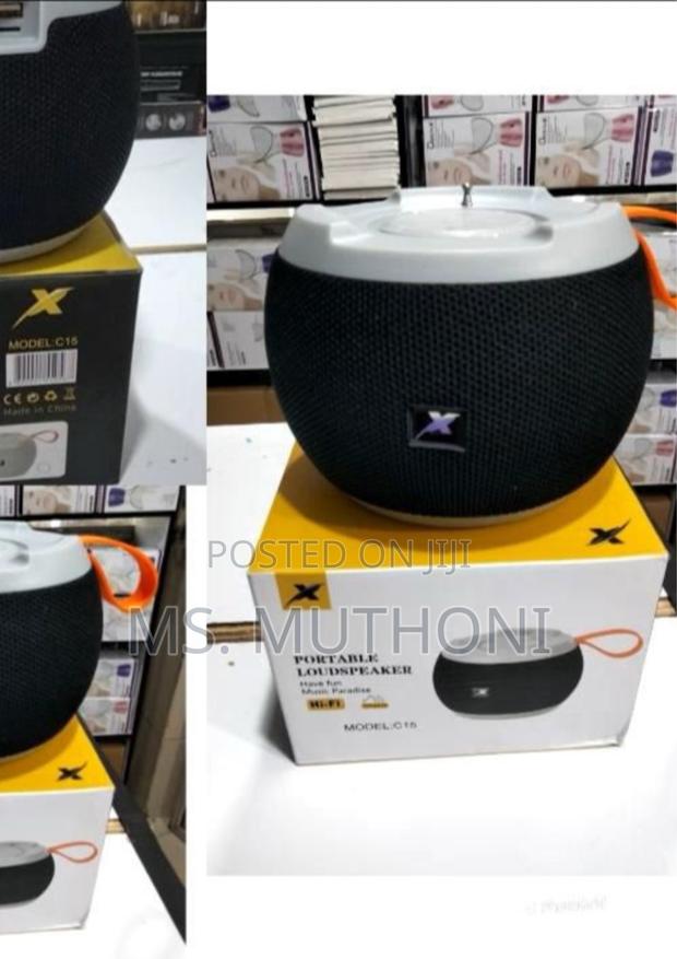 C15 Portable Bluetooth Speaker* - main view